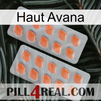 Top Avana 27